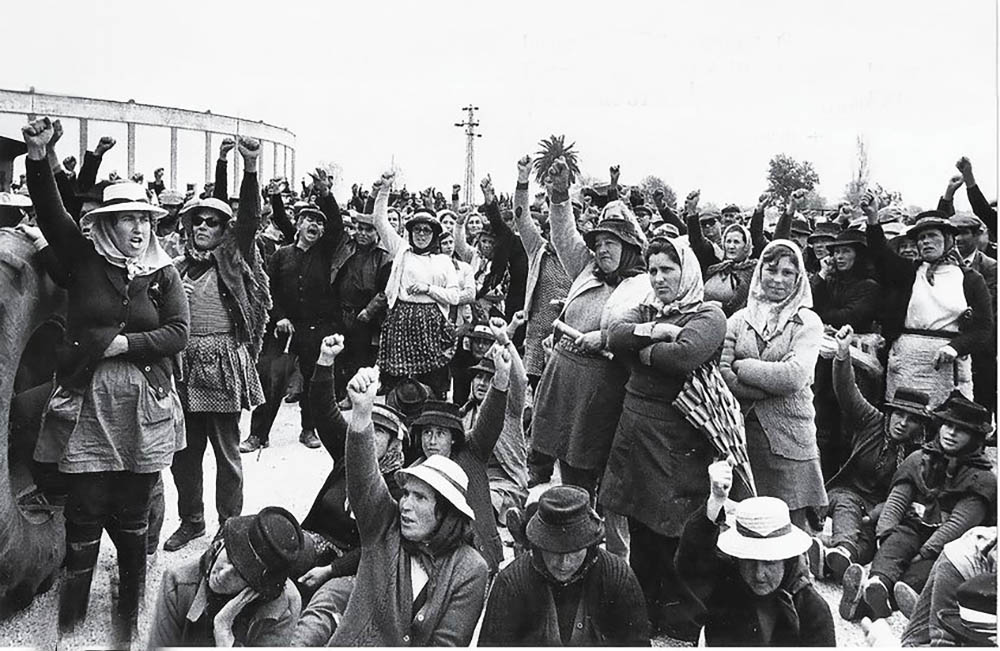 Sul Informação - Exposição no Museu da Ruralidade retrata a vida das “mulheres dos campos do sul”
