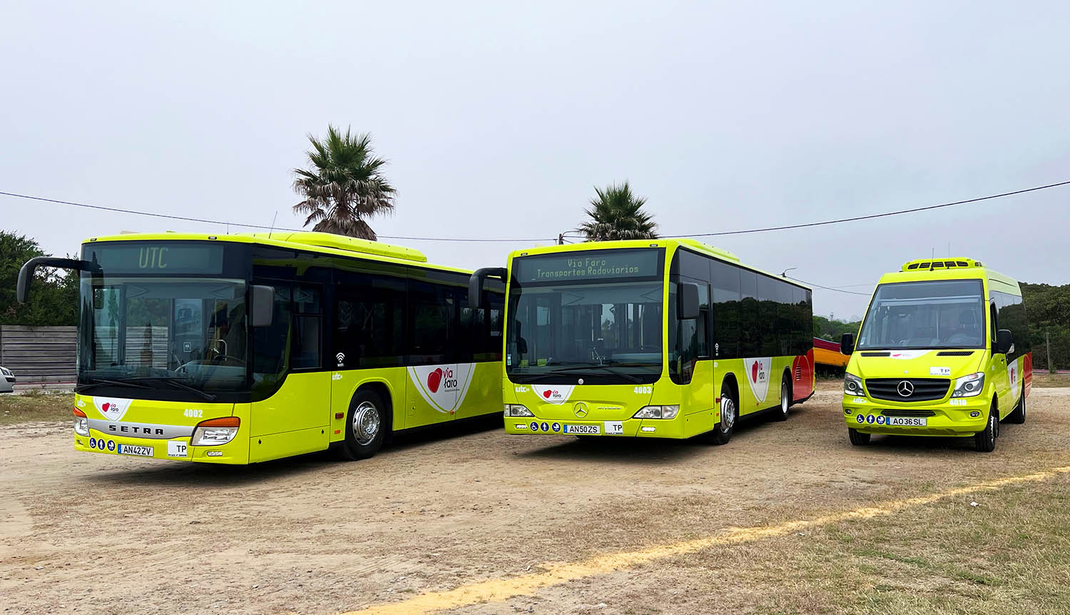Sul Informação - Faro cria novas linhas de transportes públicos para ligar todo o concelho