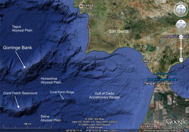 Sul Informação - Monte submarino a 200 quilómetros do cabo de S. Vicente já é Área Marinha Protegida