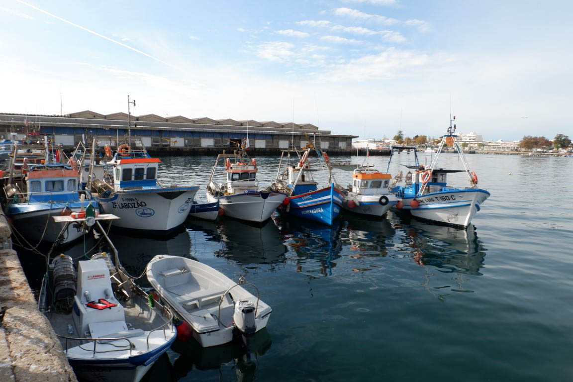 Sul Informação - Aberta linha de crédito de 20 milhões para o setor das pescas e aquicultura