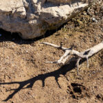Sul Informação - Barragens do Algarve só têm água até ao final deste ano. E agora?