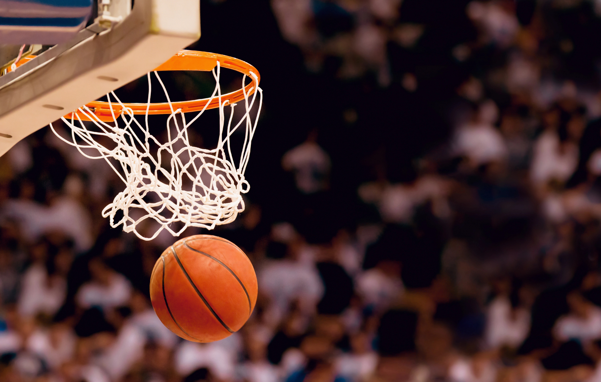 Sul Informação - Olhão recebe Clinic International para treinadores e juízes de Basquetebol