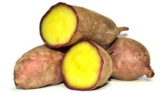 Sul Informação - Toneladas de batata doce à espera de ser compradas (e comidas) em Aljezur