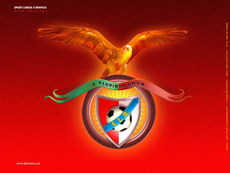 Sul Informação - Equipa de Futsal do Sport Lisboa e Benfica joga em Lagos