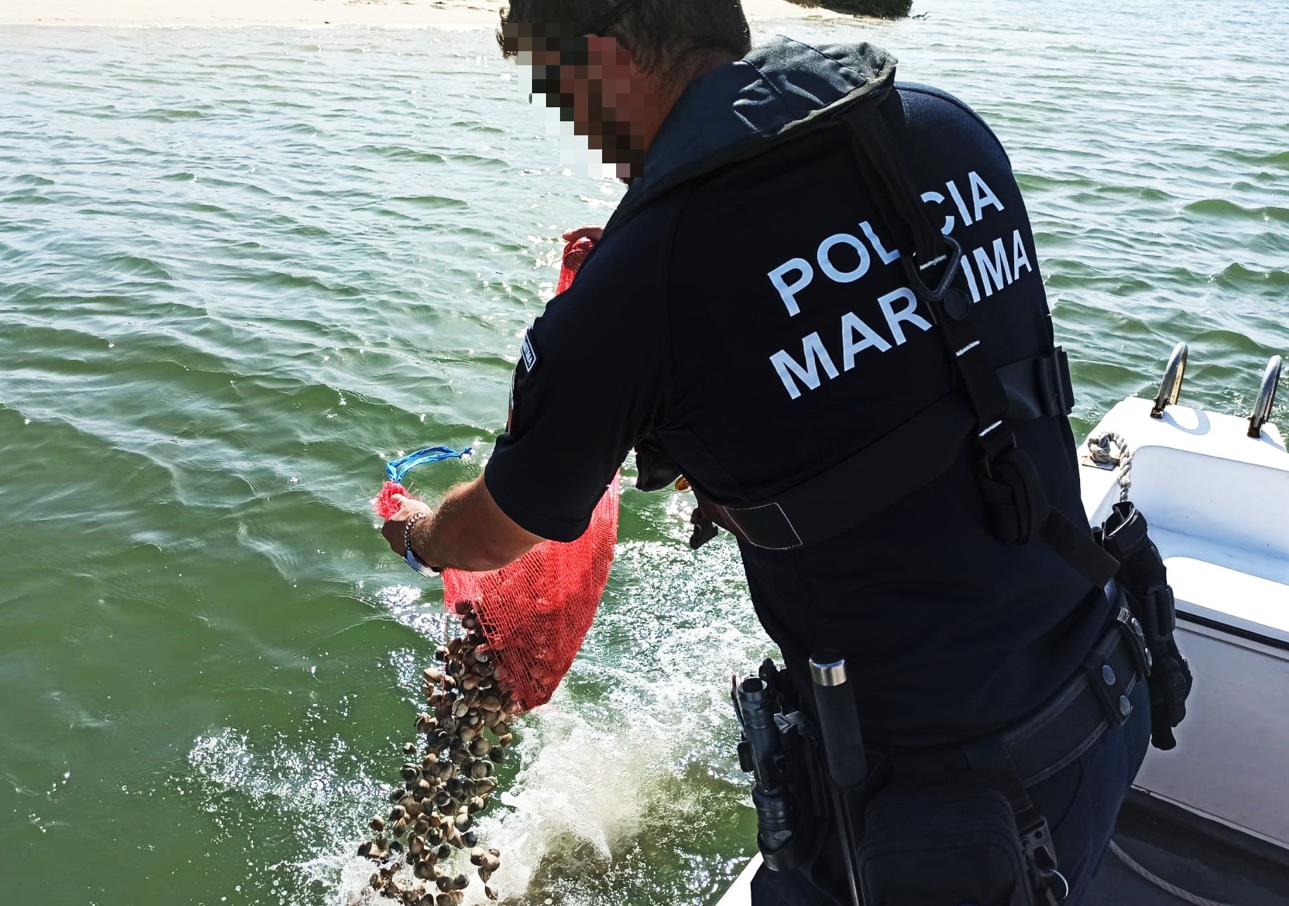 Sul Informação - 140 quilos de berbigão apreendidos na Ria Formosa