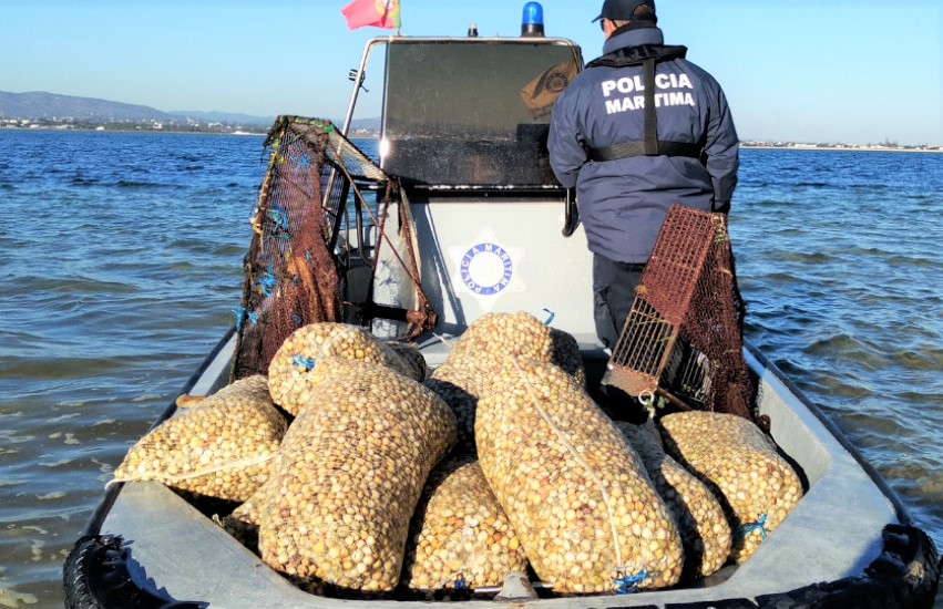 Sul Informação - Mais 500 quilos de berbigão apreendidos na Ria Formosa