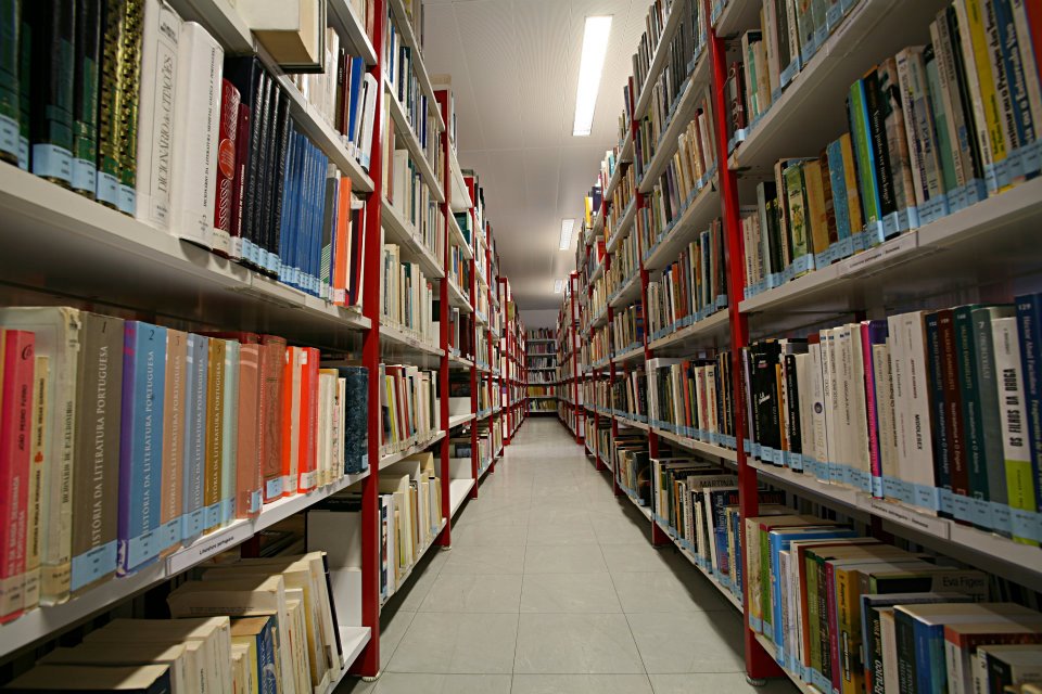 Sul Informação - Biblioteca de Lagos celebra aniversário com serenata e “Uma Tourada dos Diabos”