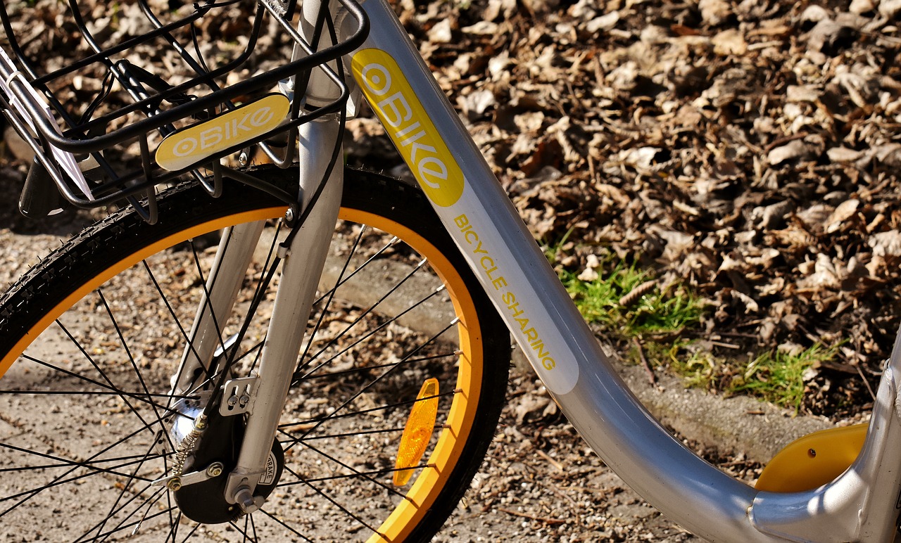 Sul Informação - Trotinetes elétricas e bicicletas partilhadas vão ser realidade em Faro