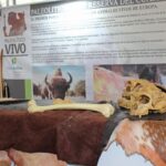 Sul Informação - Loulé é capital ibérica do Património Cultural até domingo