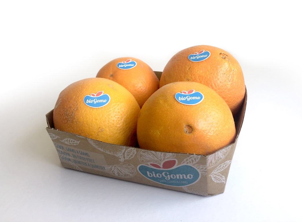 Sul Informação - Frusoal quer exportar laranja biológica para a Escandinávia