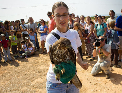 Sul Informação - 700 birdwatchers e 116 aves avistadas marcam sucesso do Festival de Observação de Aves de Sagres