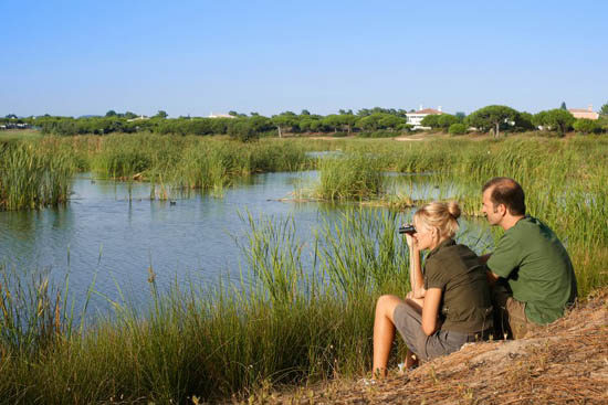 Sul Informação - Gastronomia, natureza e eventos animam stand do Algarve na BTL