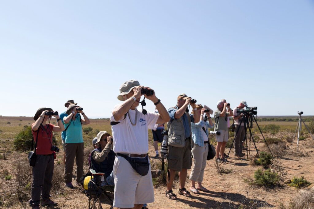 birwatching_1