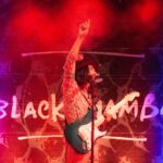 Sul Informação - The Black Mamba levaram público ao rubro em mais uma “Noite F”
