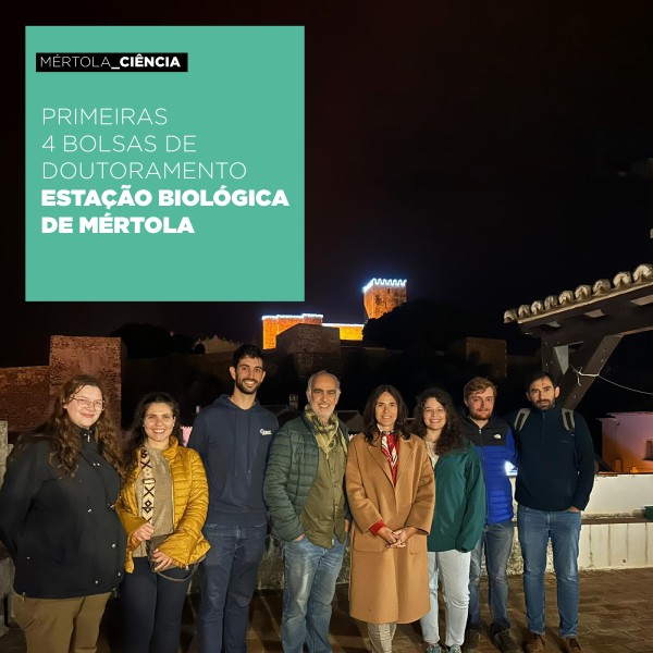 Sul Informação