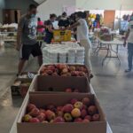 Sul Informação - Misericórdia de Vila do Bispo e população distribuem alimentos pelos bombeiros