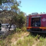 Sul Informação - 30 bombeiros sapadores de Faro ajudaram a combater incêndio de Aljezur