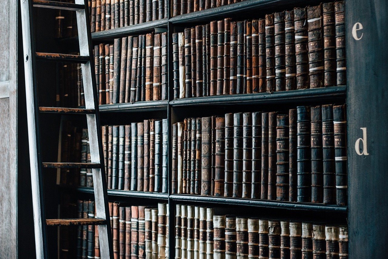 Sul Informação - Bibliomargens põe as bibliotecas no centro do debate em Alcoutim