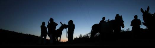 Sul Informação - Em noites de super-Lua, há burros pela Costa Vicentina