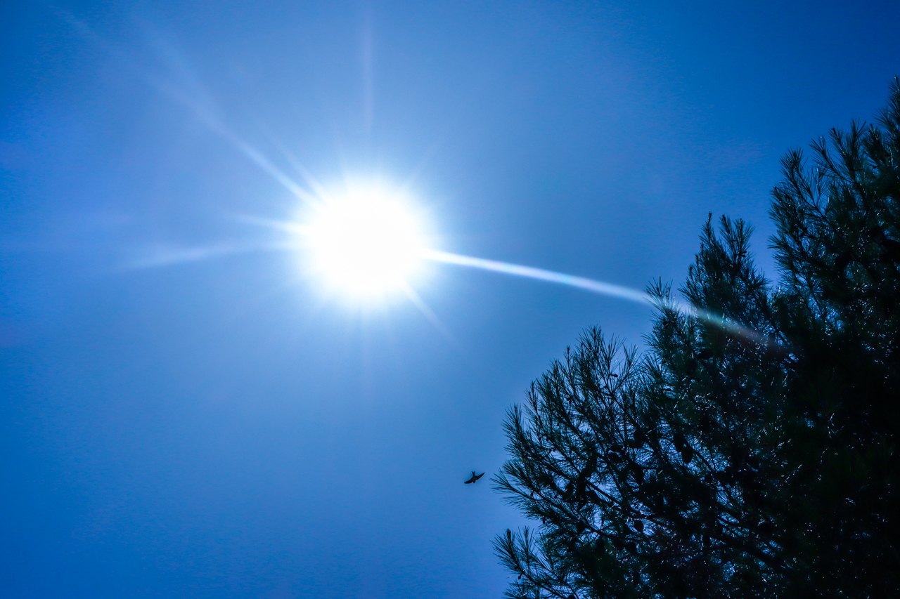 Sul Informação - DGS alerta para perigos da subida de temperaturas