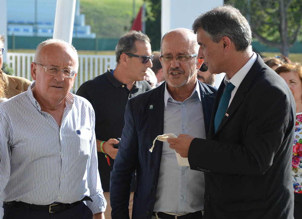 Sul Informação