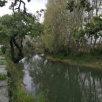 Sul Informação - De Vila Nova da Barquinha a Tomar, há Vhils e “Caça Brava”