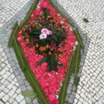 Sul Informação - O Caminhante encontrou “homem nu” e chegou a Alvorge