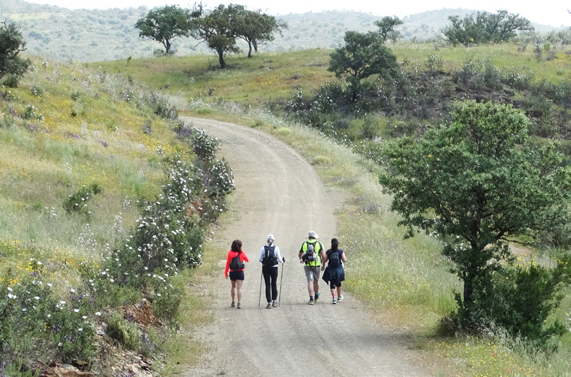 Sul Informação - Filme que promove Caminhos de Santiago do Alentejo e Ribatejo premiado na África do Sul