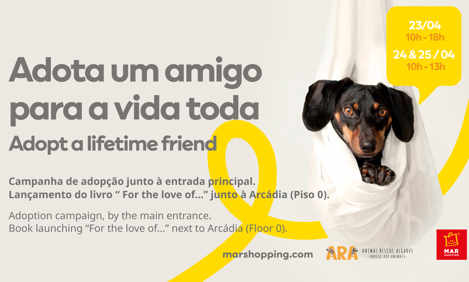 Sul Informação - Campanha de adoção no Mar Shopping vai permitir levar «amigo de quatro patas para casa»