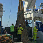 Sul Informação - Campanha do IPMA conta com apoio da pesca de cerco para avaliar stock da sardinha