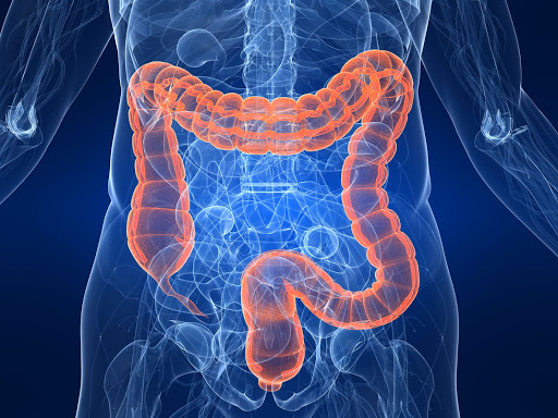 Sul Informação - Porquê fazer rastreio do Cancro Colo-Retal?