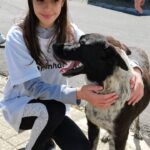 Sul Informação - Cãominhada de freguesias de Beja já tem data e inscrições abertas