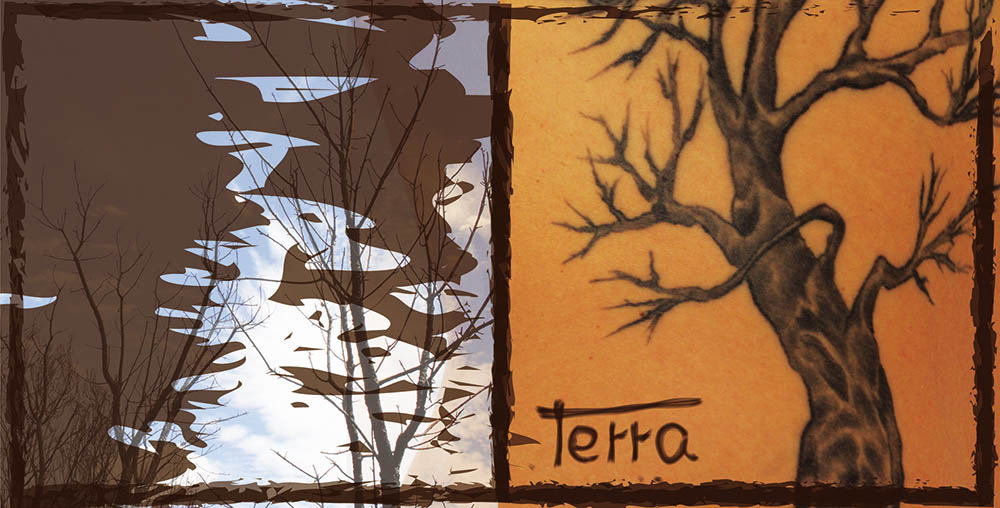 Sul Informação - Músicos algarvios cantam “Terra” pela Serra de Monchique