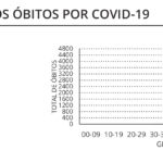Sul Informação - Alentejo tem mais 230 infetados e 17 óbitos, casos ativos descem a nível nacional