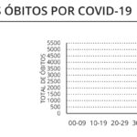 Sul Informação - Covid-19: Algarve com 88 casos e um óbito, Portugal com menos 274 internados