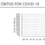 Sul Informação - Alentejo em óbitos pelo segundo dia seguido, mortes e novos casos descem em Portugal