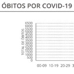 Sul Informação - Algarve tem mais 32 casos num dia sem óbitos por Covid-19 em Portugal