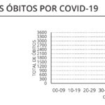 Sul Informação - Alentejo tem mais 531 casos e 17 óbitos, Portugal com novo máximo de mortes por Covid-19