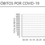 Sul Informação - Algarve tem mais 233 casos e 5 mortes num dia em que Portugal iguala recorde de óbitos