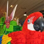 Sul Informação - Cruzeiro com geringonça a bordo e as bolas de Reinaldo animam o “Carnaval Summit de Loulé”