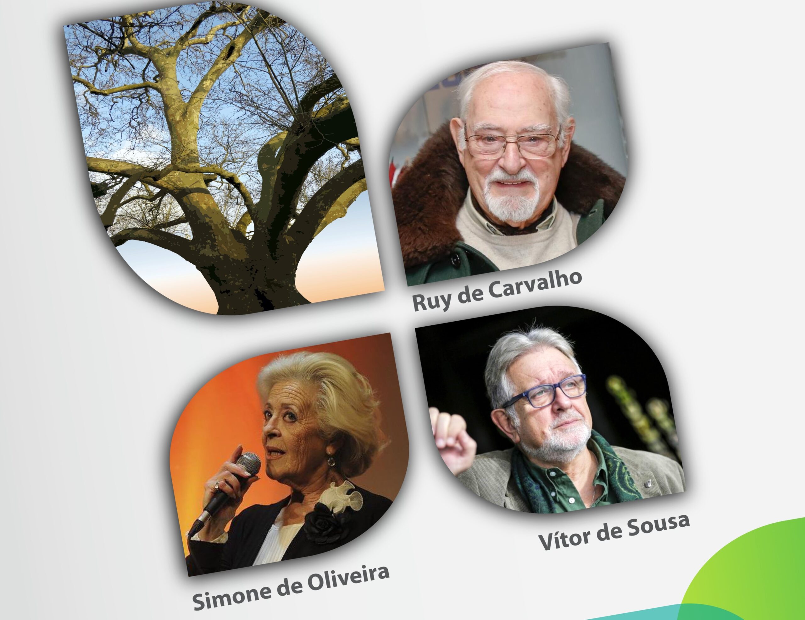 Sul Informação - Cultura e Juventude juntam-se para comemorar Dia Mundial da Árvore e da Poesia