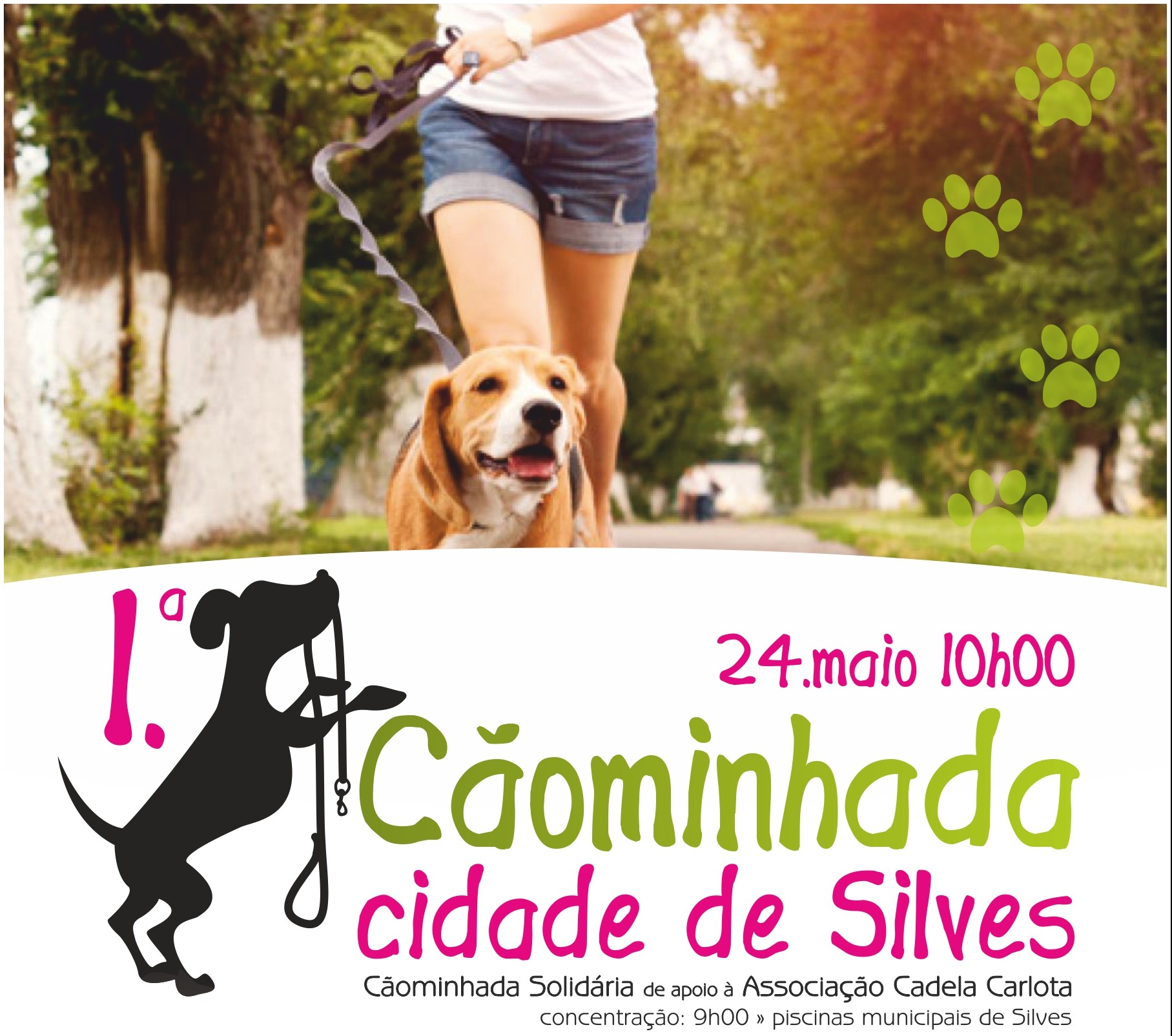 Sul Informação - Câmara de Silves promove primeira Cãominhada na cidade