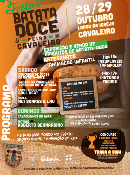 Sul Informação