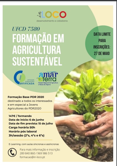 Sul Informação