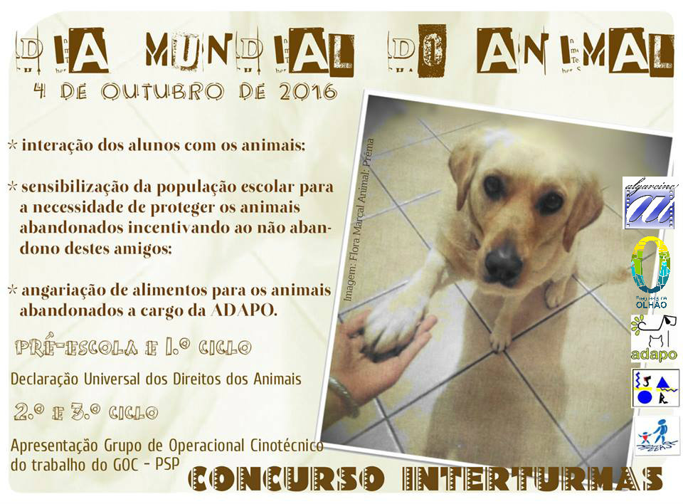 Sul Informação - Olhão: Alunos do agrupamento João da Rosa vão “fazer amigos entre os animais”