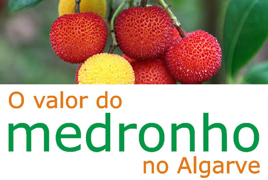 Sul Informação - Escola Profissional de Alte debate «O Valor do Medronho»