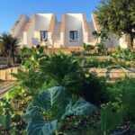 Sul Informação - Casa Modesta de Moncarapacho vence prémio internacional de arquitetura