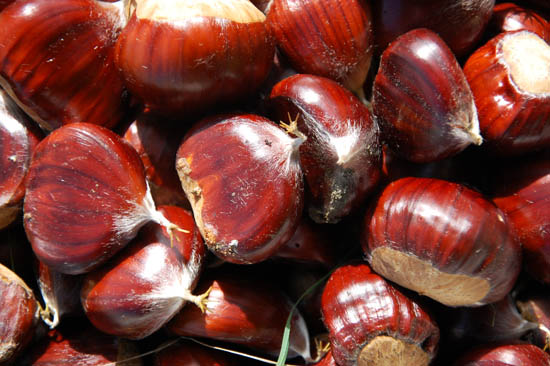 Sul Informação - Castanhas: quentes, boas…e nutritivas