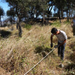 Sul Informação - Investigação em curso no Castelo de Alferce revela novas descobertas arqueológicas