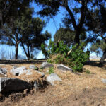 Sul Informação - Investigação em curso no Castelo de Alferce revela novas descobertas arqueológicas